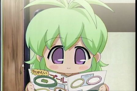 びんちょうタン9−17
