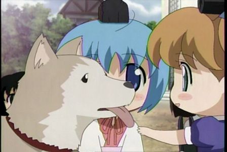 びんちょうタン8−28
