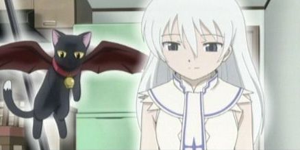 38