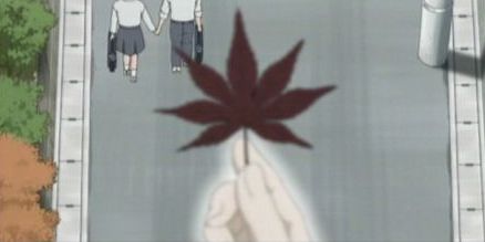 44