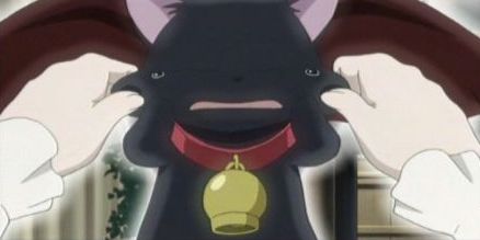 40