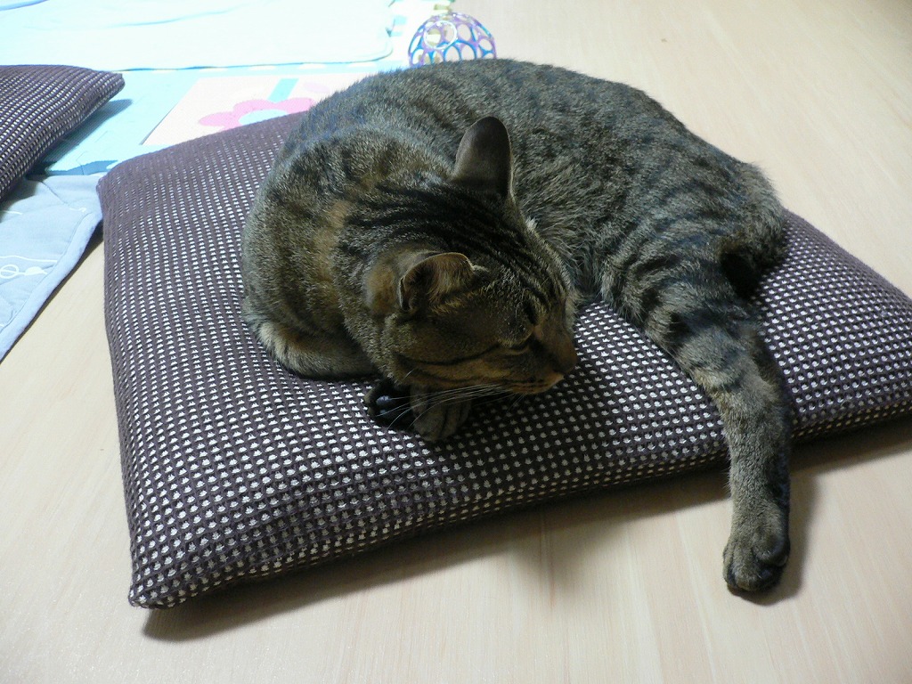 寝る