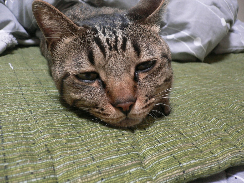 眠い