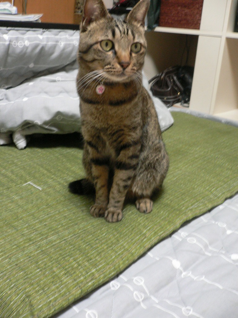 視線の先には…