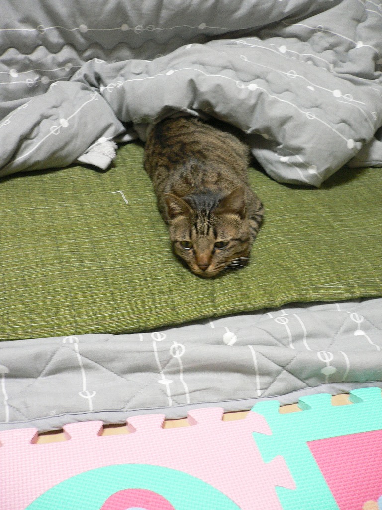 お疲れ