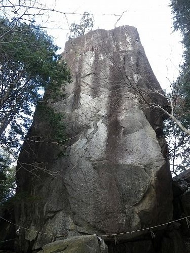 IMGP5737