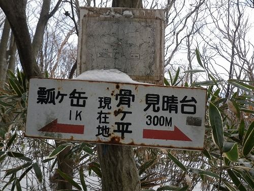 IMGP5744