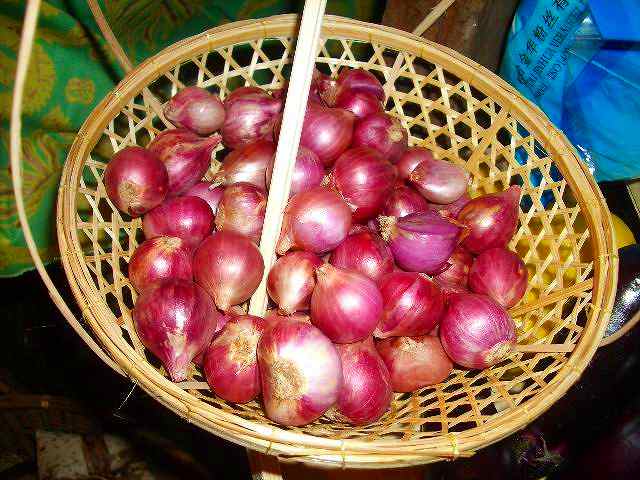 タイの小さな紫タマネギ「ホムデン」～実はシャロット雑種 : ◇毎日 ...