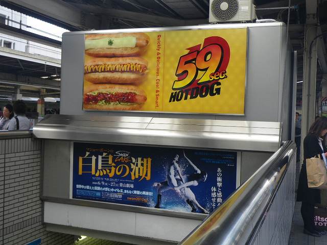 IMGP6278
