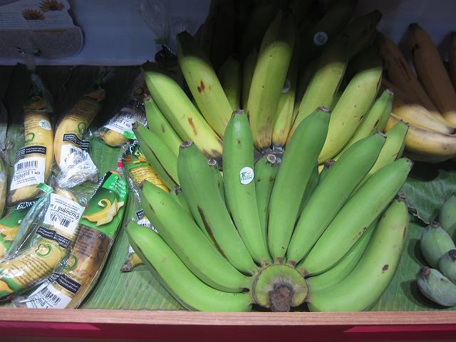 ta621出品◆タイの最高峰２品種◆レディフィンガー＆クルアイカイ◆大苗・ ta621出品◇タイの最高峰2品種◇レディフィンガー