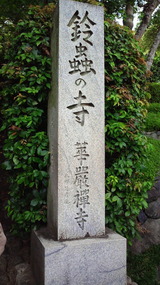 f32b485b.jpg