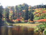 87a0216a.jpg