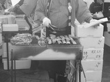 蝦蛄3