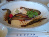 活海老