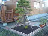 f4863514.jpg