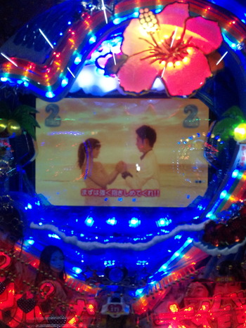 DVC00005