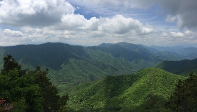 IMG_2712