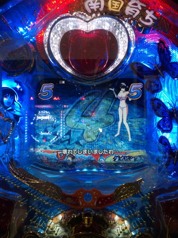 DVC00013