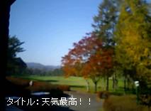 63537d70.jpg