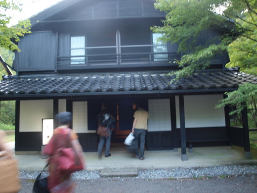 P8283088