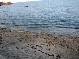 P8283063