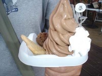 080504�ڥꥫ�󤯥��ե�1
