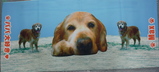 070613���ꥹ�ݡ���1
