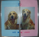 070713�봬��larry