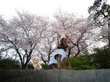 090405駿府公園1