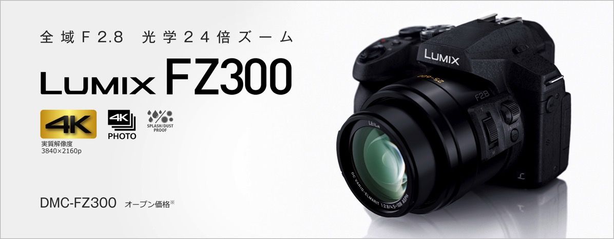 FZ300.jpg FZ300