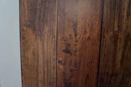 DSC06529