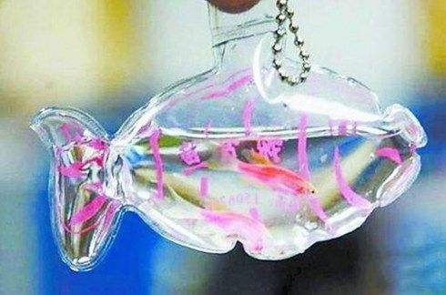 living-keychain-550x364