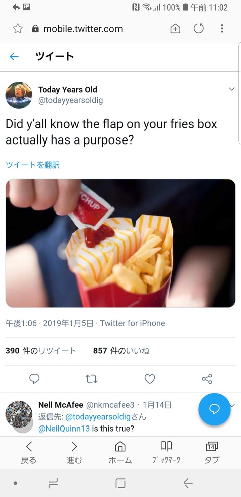 マクドナルドのポテトのケース