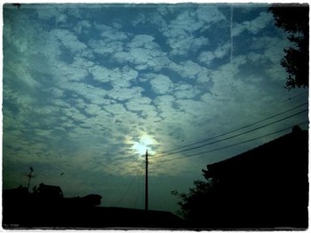 101014_154945