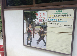 kogu