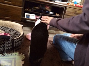 2013-11-03-11-26-12