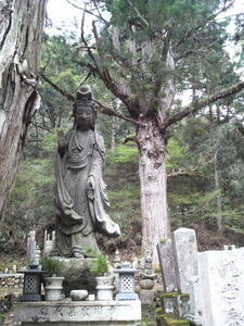 b042f45e.jpg