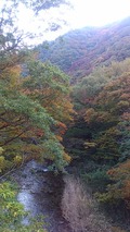 151017_1508~02