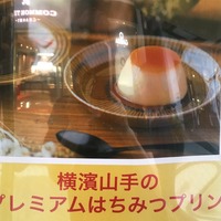 79A4042B-1EF6-4592-8E8B-CB7548B6F0D5