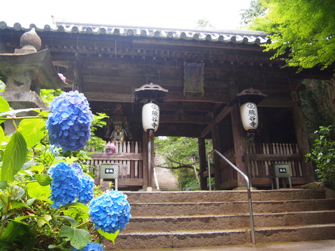 P6194466