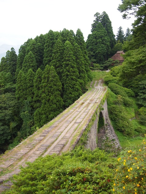o0800106711319979807