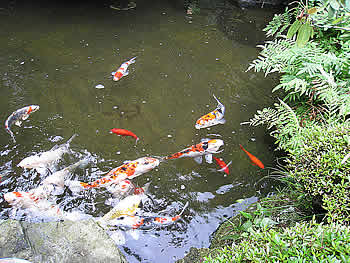 旅館の様子4