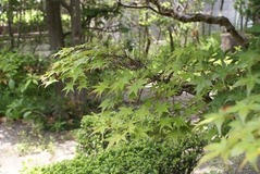 DSC06739