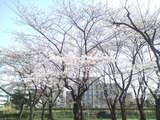 72a649f1.JPG