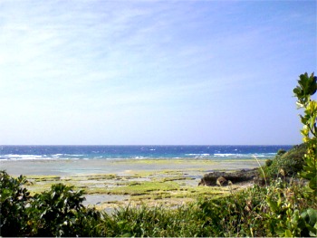 �����γ�2009.2.13