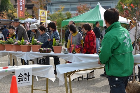 s-DSC_1480