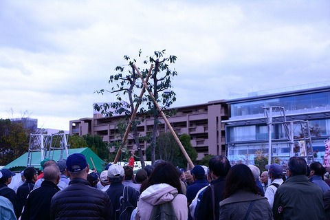 s-DSC_1517
