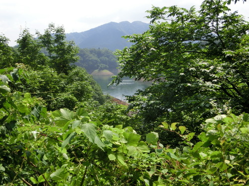 CIMG2226