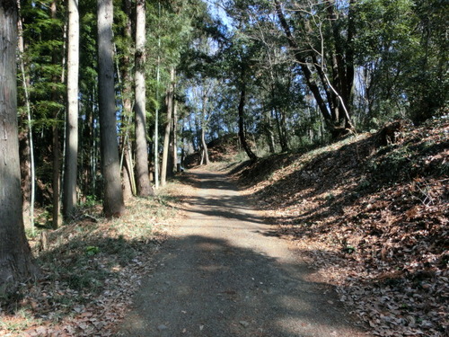 CIMG0264