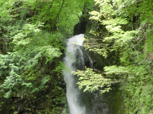 CIMG0892